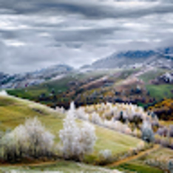 Meet your Posher, Myung hee - Picture 1 of 1